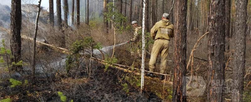 В ближайшие дни в лесах Иркутской области прогнозируется сложная обстановка с пожарами В ближайшие дни в лесах Иркутской области прогнозируется сложная обстановка с пожарами