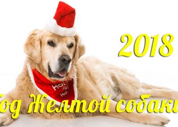 Как правильно встретить 2018 год – год желтой земляной Собаки. Советы востоковеда Как правильно встретить 2018 год – год желтой земляной Собаки. Советы востоковеда