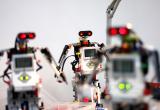 В субботу в Братске состоится фестиваль робототехники (ПРОГРАММА)