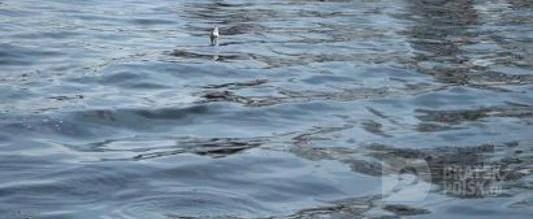 В Братском водохранилище утонул мужчина, находившийся в автомобиле В Братском водохранилище утонул мужчина, находившийся в автомобиле