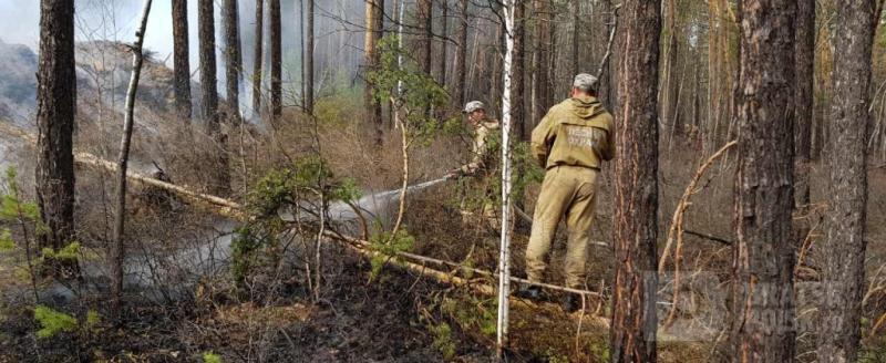 В Иркутской области сократилось количество лесных пожаров В Иркутской области сократилось количество лесных пожаров