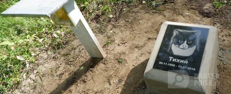 В Ангарском районе жители организовали кладбище домашних животных, владелец земли заплатит за это штраф В Ангарском районе жители организовали кладбище домашних животных, владелец земли заплатит за это штраф