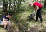 Школьники Братска за лето убрали 120 гектаров зеленых зон Школьники Братска за лето убрали 120 гектаров зеленых зон