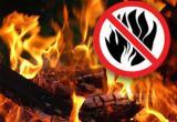 В дни новогодних и рождественских праздников в Иркутской области будет введен особый противопожарный режим В дни новогодних и рождественских праздников в Иркутской области будет введен особый противопожарный режим